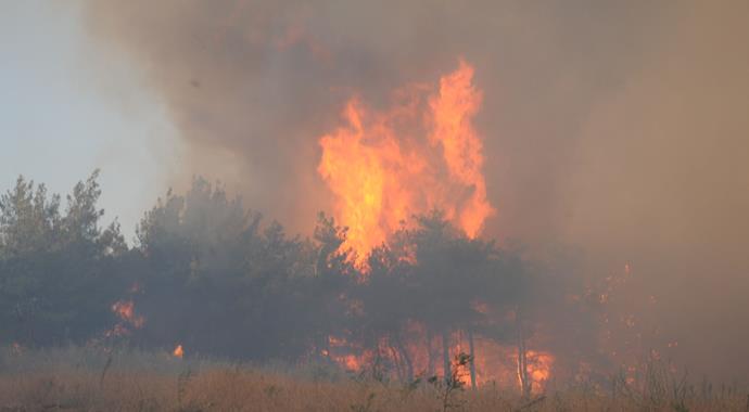 Bursa'da büyük orman yangını (BURSA YANGIN)