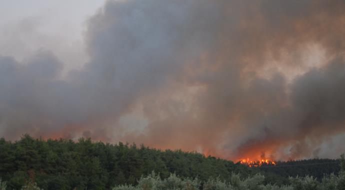 Bursa'da büyük orman yangını (BURSA YANGIN)