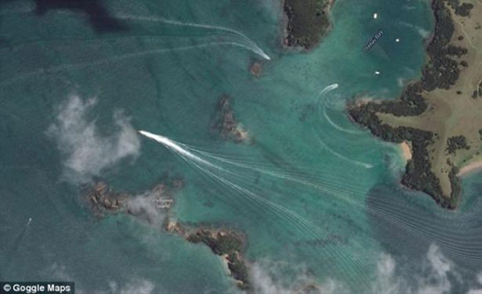 Gizemli canlı korkuttu