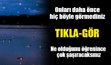 Onları daha önce böyle görmediniz!