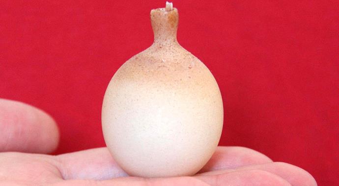 Bunun ne olduğu öğrenince çok şaşıracaksınız!