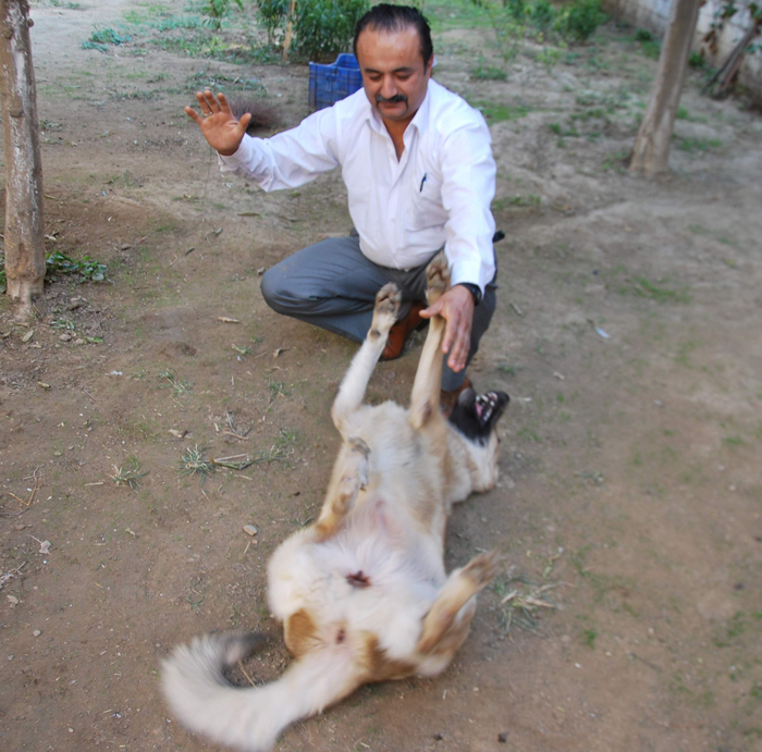Bu köpek işine gelince erkek, işine gelince dişi!