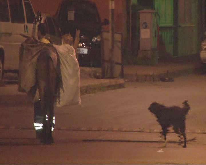 Bu da 'köpek bak git' vakası