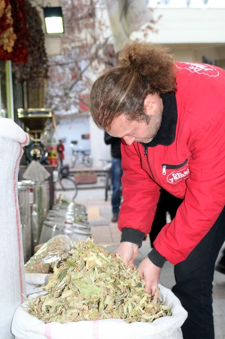 Ihlamurun yükselişi sürüyor