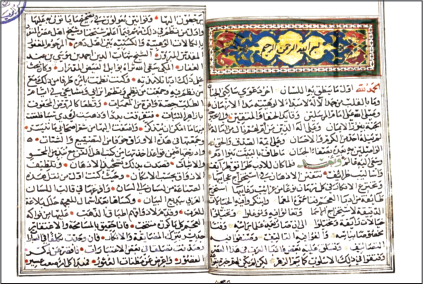 Mekke-i Mükerreme'de yetişen büyük İslam âlimlerinden.