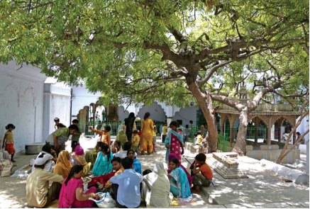 Hindistan'da yetişen evliyanın büyüklerinden.