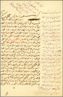 Mısır'da yetişen İslam âlimlerinin büyüklerinden.