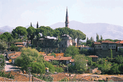 Osmanlı âlimlerinin en meşhurlarından. Türk alimlerinin baş tacı.