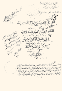 Mısırlı tefsir âlimi ve evliyanın büyüklerinden.