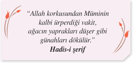 Fıkıh ve hadis âlimi.