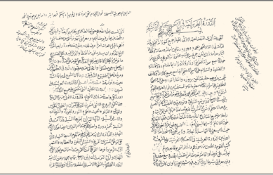 Evliyanın büyüklerinden. Halvetî yolunun Mısriyye kolunun şeyhi