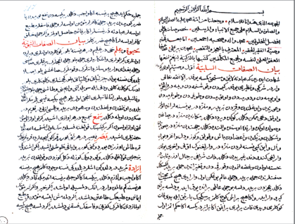 Osmanlı âlimlerinin en meşhurlarından. Türk alimlerinin baş tacı.