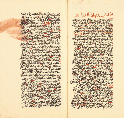 Tefsir, hadis ve fıkıh âlimi.