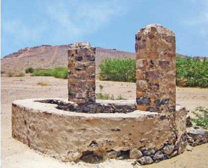 Eshab-ı Kiram'ın en büyüklerinden ve Peygamberimizin damadı, üçüncü halifesi.
