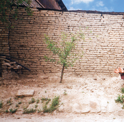 Ehl-i Sünnet'in iki itikat imamından birincisi