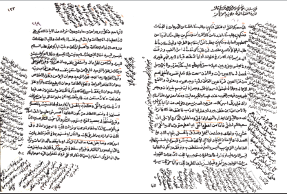 Tefsir, hadis, nahiv ve Şafiî mezhebi fıkıh âlimlerinden.