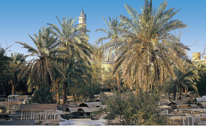 Asıl adı Nu'man bin Sabit bin Zuta el-Kufî'dir.