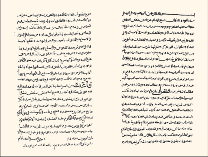 Evliyanın büyüklerinden ve Şafiî mezhebi fıkıh âlimi.