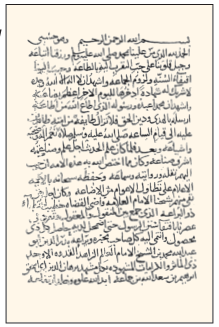 Fıkıh, hadis ve tarih âlimi.