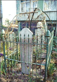 Anadolu'da yetişen büyük velîlerden