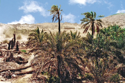 Hazreti Ebu Bekr'den sonra Eshab-ı Kiram'ın en büyüğü, Peygamberimizin ikinci halifesi