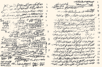 Evliyanın büyüklerinden. Halvetî yolunun Mısriyye kolunun şeyhi