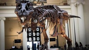 Dev dinozorlar küçük beyinlerle mi yaşadı? T-Rex'lerin zeka seviyesi hakkında şaşırtıcı keşif! - TEKNOLOJI
