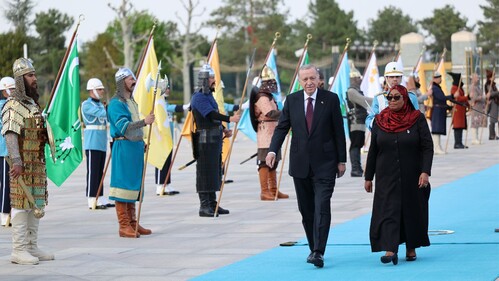 Erdoğan, Tanzanyalı mevkidaşını resmî törenle karşıladı: Hedef 1 milyar dolar ticaret - Gündem