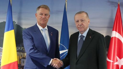 Erdoğan Romanyalı mevkidaşıyla görüştü: Gündemde NATO genel sekreterliği var - Dünya