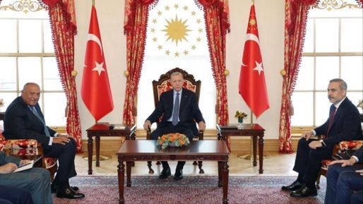 Cumhurbaşkanı Erdoğan, Mısır Dışişleri Bakanı Şukri'yi kabul etti - Politika