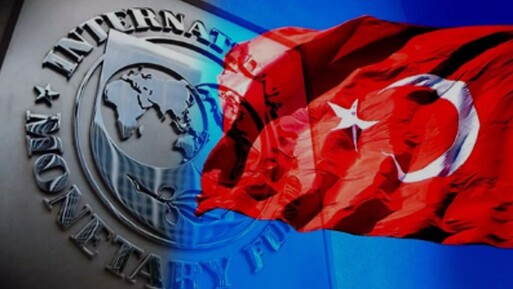 IMF: Biz de Türkiye'ye aynı şeyi yapmasını tavsiye ederdik - Dünya