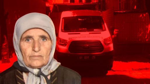 Adana'da başıköpek terörü! Yaşlı kadın feci şekilde hayatını kaybetti - Gündem