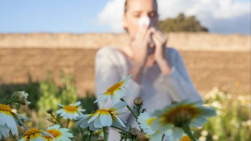 Çöl tozları bahar alerjisini artırdı! Uzmanlar uyardı astıma dönüşüyor - Sağlık
