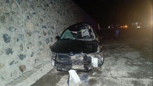 Bingöl'de feci kaza! Otomobilin çarptığı at telef oldu, ölü ve yaralılar var - Gündem
