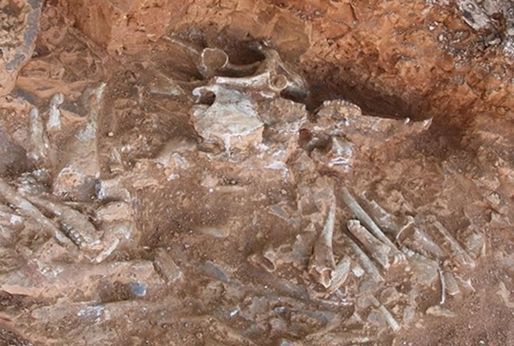 Bilim insanları 240 milyon yıllık ‘ejderha’ fosili keşfetti - Yaşam