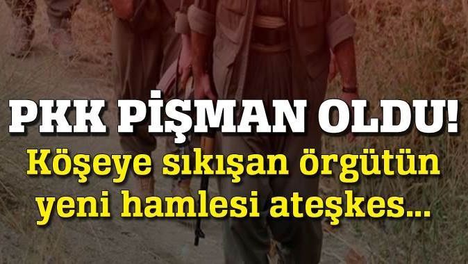 PKK pişman oldu!
