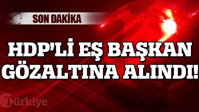 HDP&#039;li eş başkan gözaltına alındı!