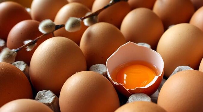 Yumurta fiyatları arttı