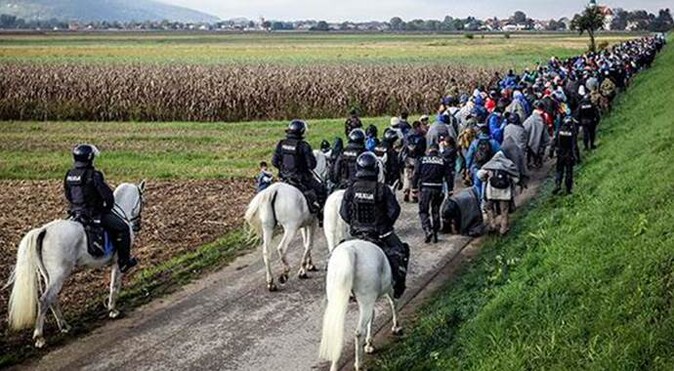 Sığınmacıların Slovenya yolculuğu devam ediyor

