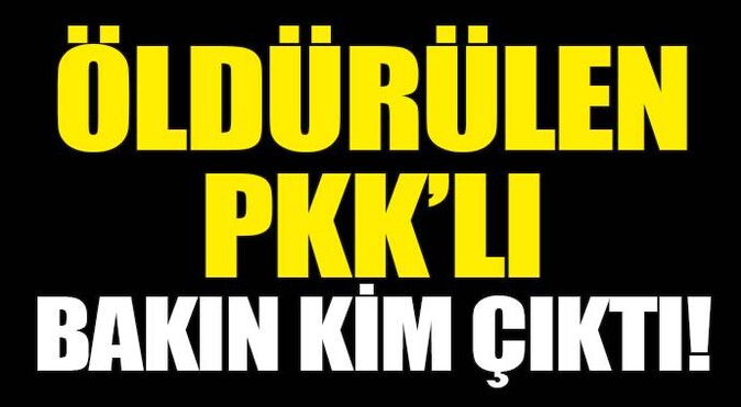 HDP&#039;li vekilin kayınbiraderi çatışmada öldürüldü