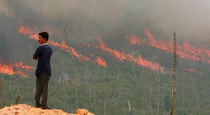 Endonezya&#039;da orman yangınları bir aydır sürüyor

