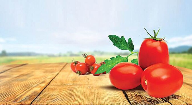 Tarladan 20 ton domatesi sanal markette sattı