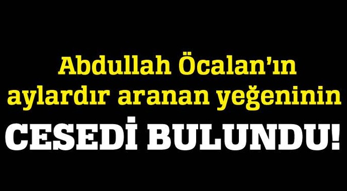 Abdullah Öcalan&#039;ın yeğeni Viyana&#039;da intihar etti!