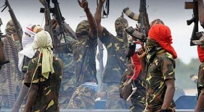 Kamerun ve Çad&#039;da Boko Haram&#039;a darbe
