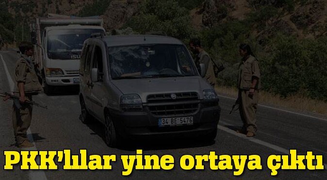 PKK&#039;lılar ulaşıma açılan yolu yine kesti