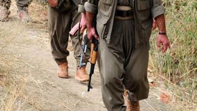 Mardin&#039;de 2 PKK&#039;lı tutuklandı