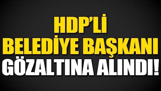 HDP&#039;li Belediye Başkanı gözaltına alındı