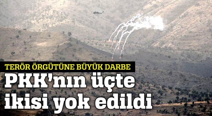 PKK&#039;nın üçte ikisi yok edildi
