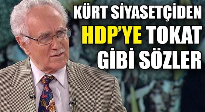 Kürt siyasetçiden HDP&#039;ye tokat gibi sözler
