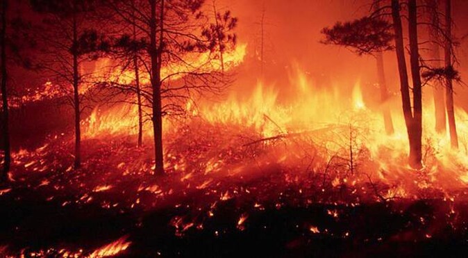 ABD&#039;deki orman yangınlarında ölü sayısı 6&#039;ya yükseldi
